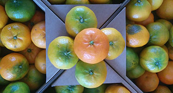 Custom gift box with natural products from Valencia