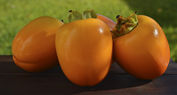 Persimmons 18kg - Pris 53 €