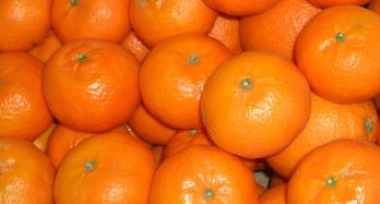 Mandariner Clementinas 12 Kg - Pris 44 €