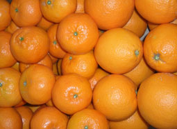 Kjøp eske med variert frukt - Valencia oranges and mandarins online