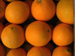 Kjøp Appelsiner Online - Valencia oranges online