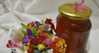 Tusen blomster Honning 1 Kg - Pris 16 €