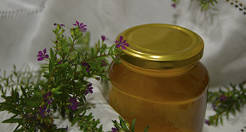 Timian Honning 1 Kg - Pris 16 €
