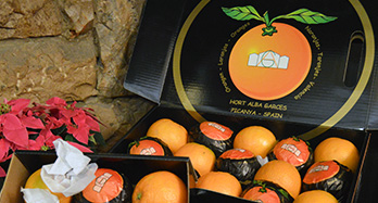 45 Gourmet Appelsiner - Pris 47 €