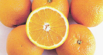 Appelsiner Valencia 15 kg - Pris 44 €